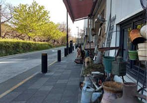 メインカメラの作例