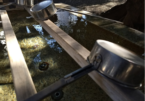 メインカメラの作例