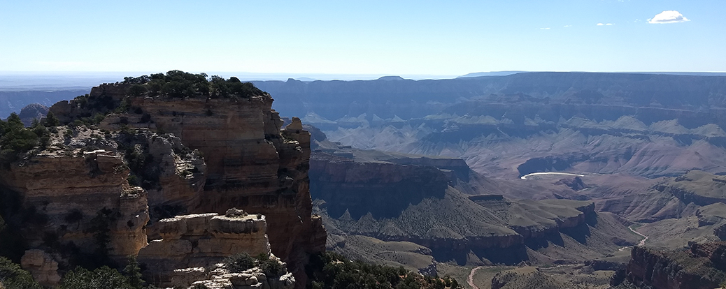 SNS映え抜群! Moto G5で日常を撮ってみた